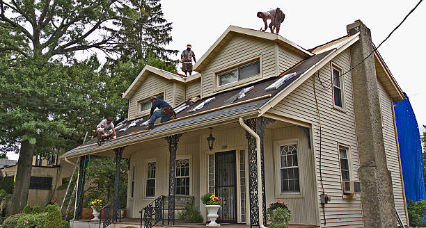 Best Roof Gutter Cleaning  in Ellsworth, WI