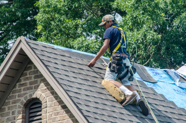 Best Roof Repair Services  in Ellsworth, WI